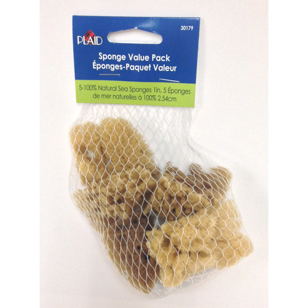 Plaid SEA SPONGE SET 1"" 5PC 30179